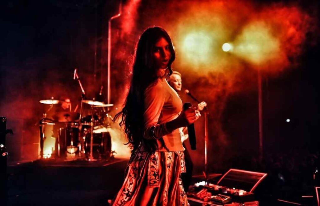 Subsonica Terre rare