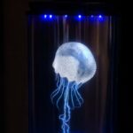 Thetis Andrea Crespi