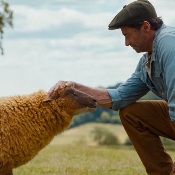 Pecore Sotto Copertura recensione