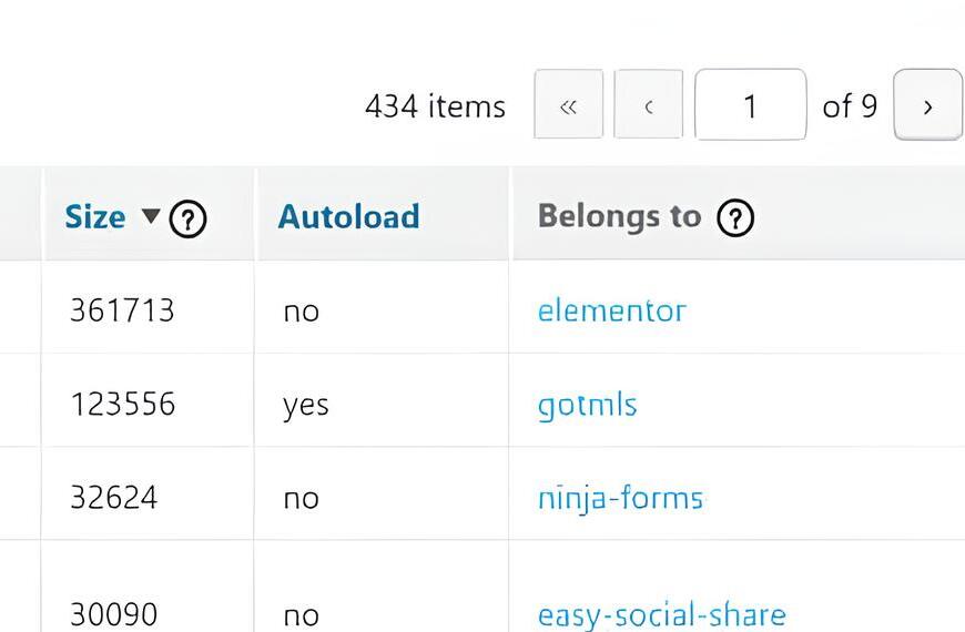 Come ridurre le opzioni caricate automaticamente in WordPress quando superano 1 MB