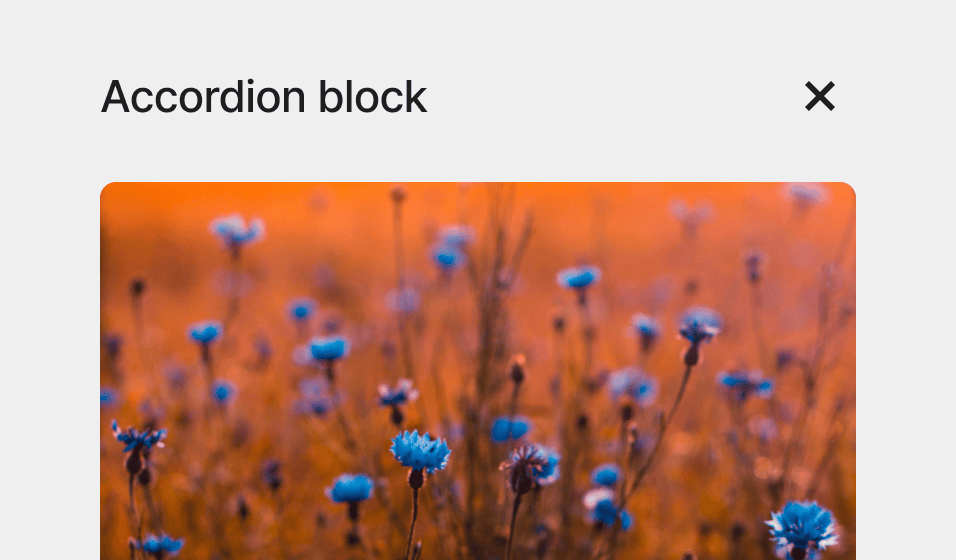 WordPress 6.9