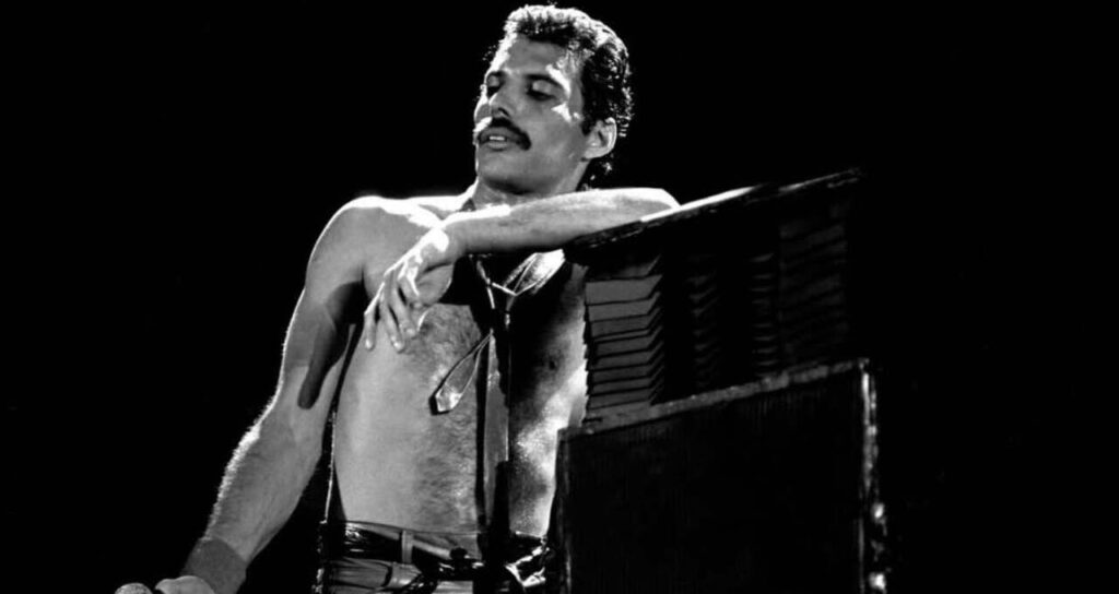 Freddie Cover