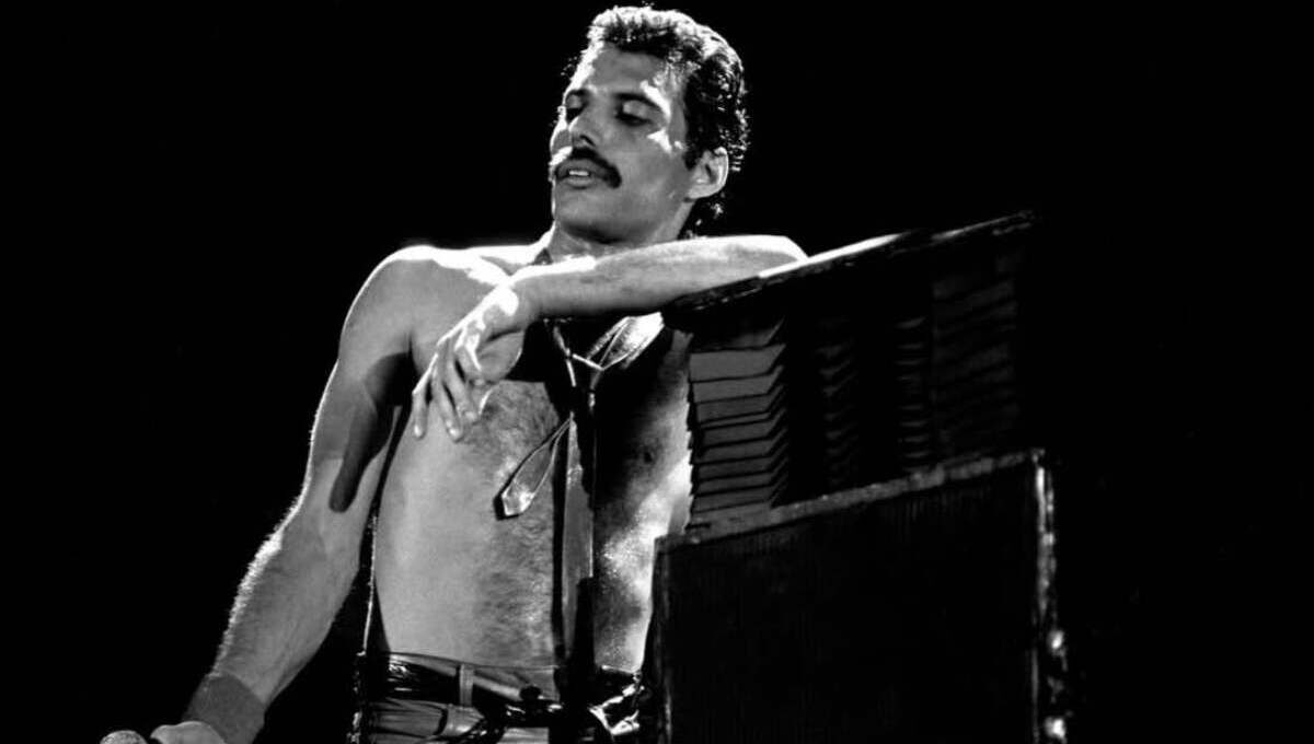 Freddie Cover
