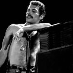 Freddie Cover
