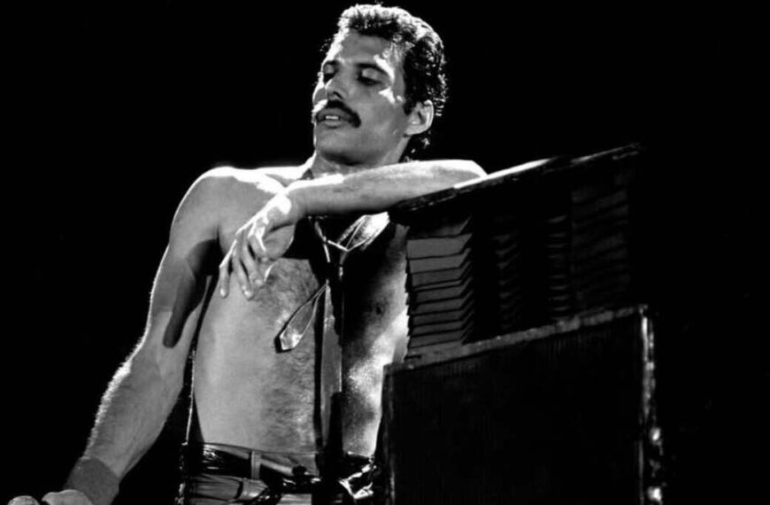 Freddie Cover