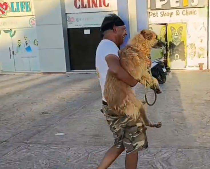 Raccolta fondi cani Baladi Sharm