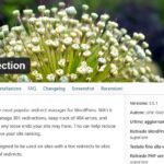 Reindirizzamenti Plugin Redirection: Guida Completa per WordPress