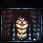 Chris Squire