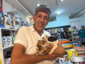 Marco Licata cuccioli