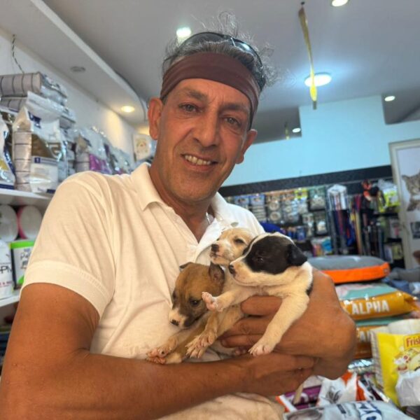 Marco Licata cuccioli