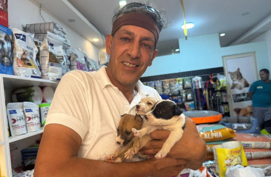Marco Licata cuccioli