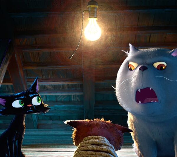Gatto film