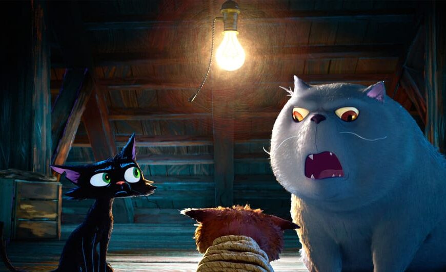 Gatto film