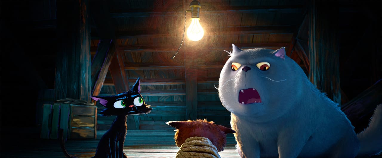 Gatto film