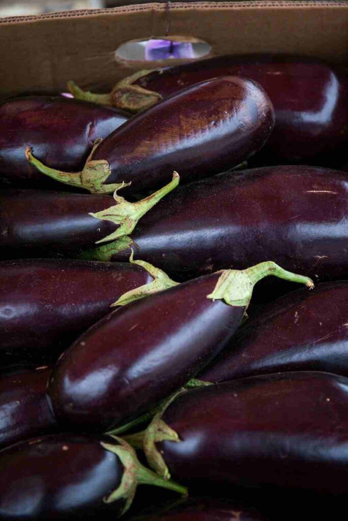 melanzane al salmoriglio