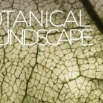 Botanical Soundscape Roma