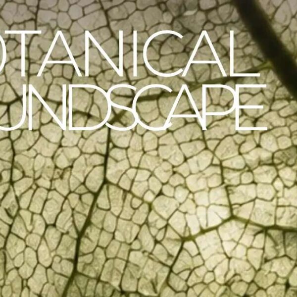 Botanical Soundscape Roma
