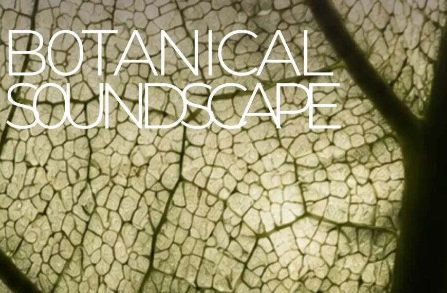 Botanical Soundscape Roma