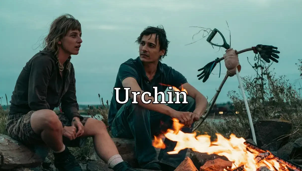 Urchin