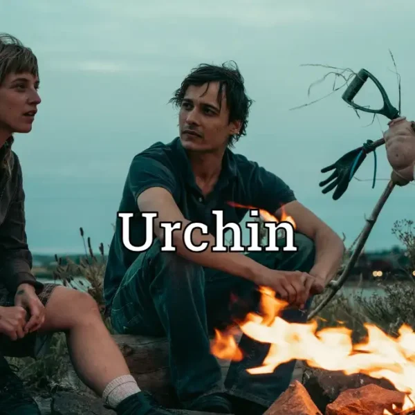 Urchin