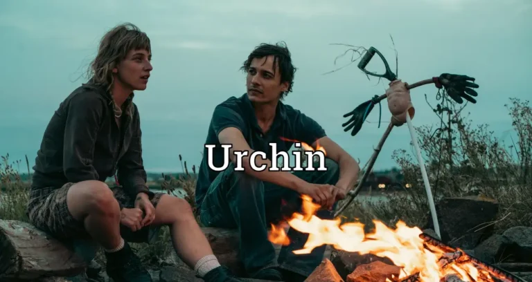 Urchin
