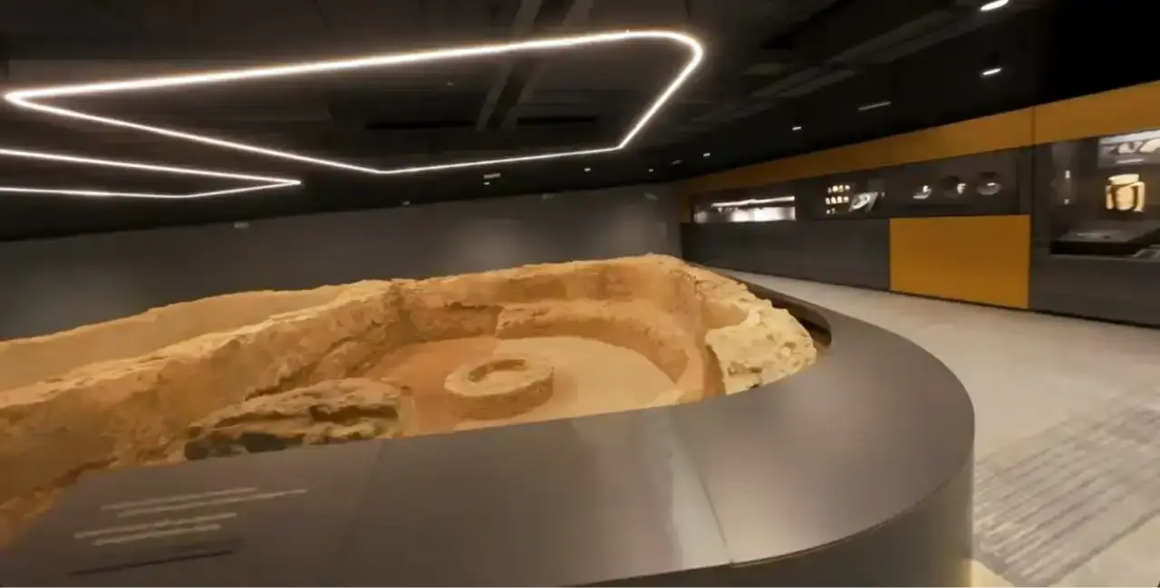 Metro C Roma Prix Versailles 2026