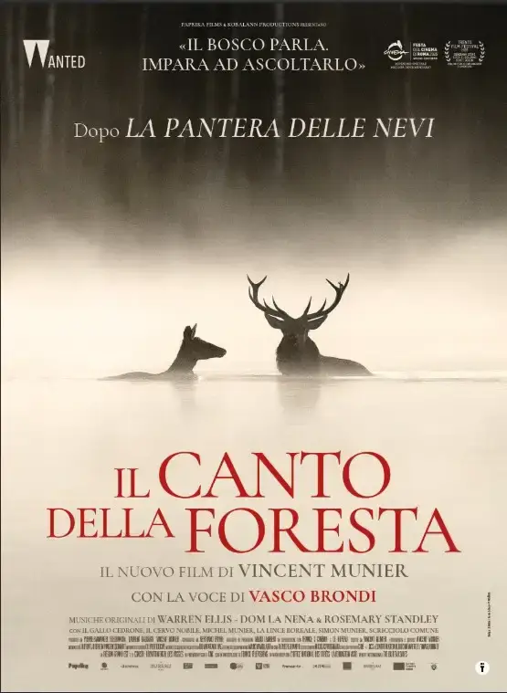 Locandina del film Il canto della foresta di Vincent Munier con due cervi che emergono dall'acqua in un paesaggio nebbioso