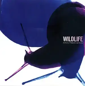 Copertina dell'album Wildlife di Anthony Phillips e Joji Hirota con una lumaca stilizzata su sfondo blu e bianco