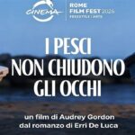 Locandina del film I pesci non chiudono gli occhi di Audrey Gordon con due barche su una spiaggia al tramonto